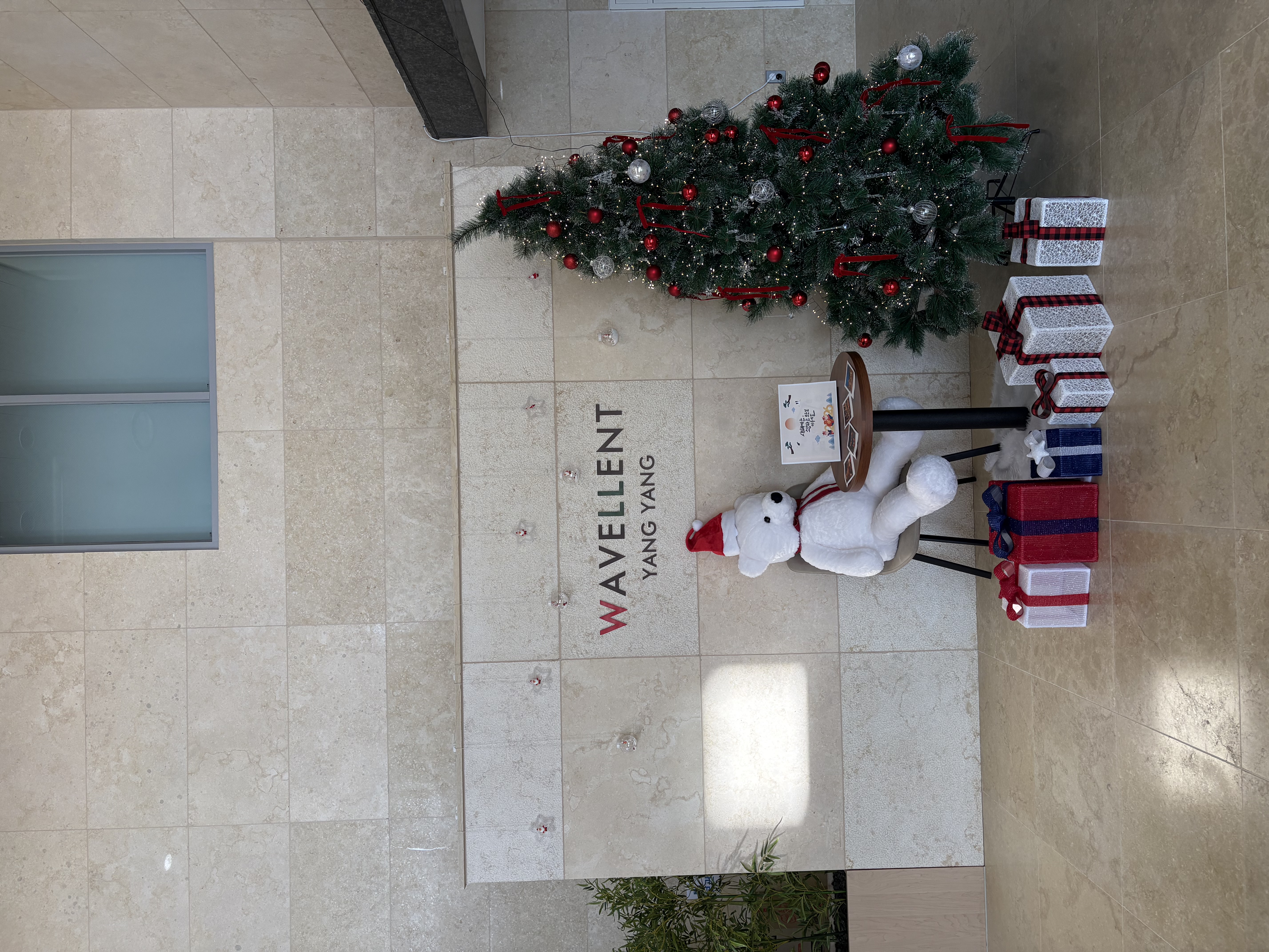 1f20f077797adc886972b73e092d7766_1771112154_1021.jpg 1f20f077797adc886972b73e092d7766_1771112154_1021.jpg