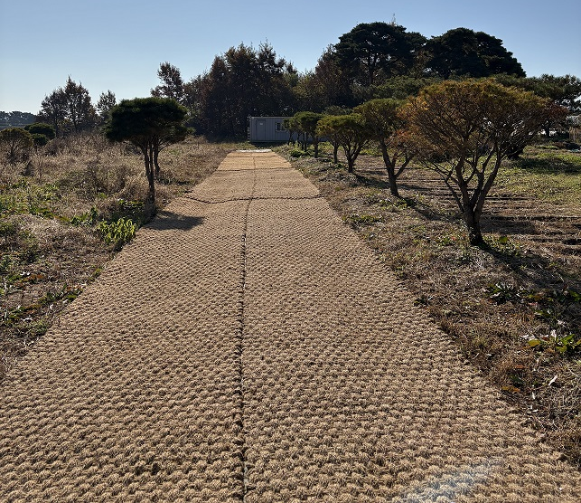 20935e7fcdca4a89cf03f345dd5414c3_1771496284_2001.png 20935e7fcdca4a89cf03f345dd5414c3_1771496284_2001.png